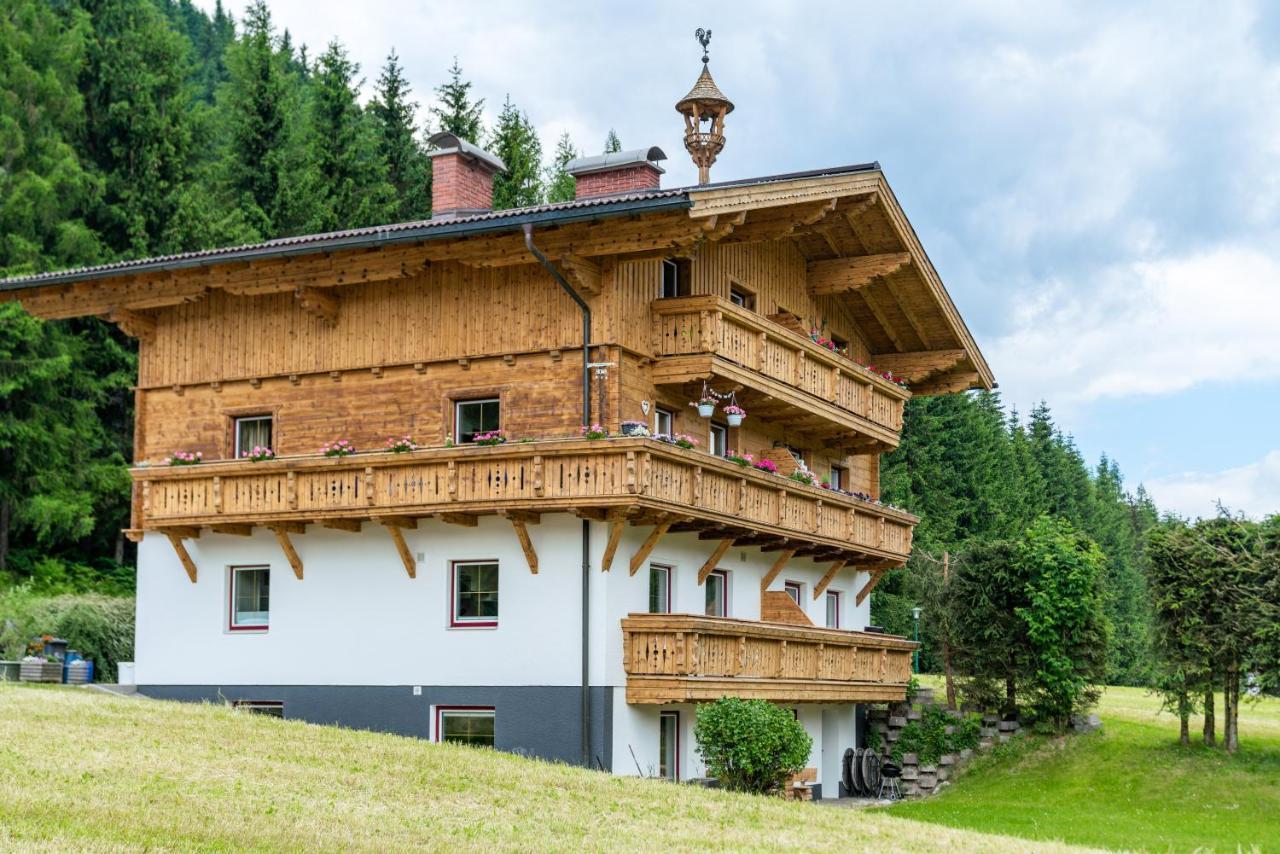 Kesselgrubs Apartements Ski & Badeglueck Eben Im Pongau Luaran gambar